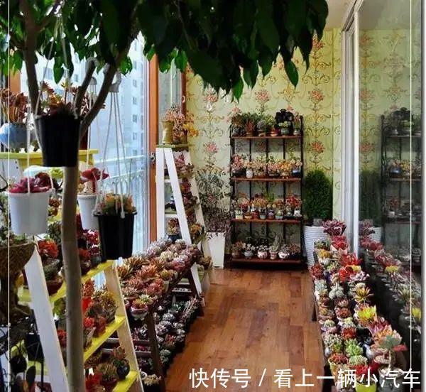 婆婆|越来越多人阳台不晾衣服了!我不顾婆婆反对,强行将阳台这样改