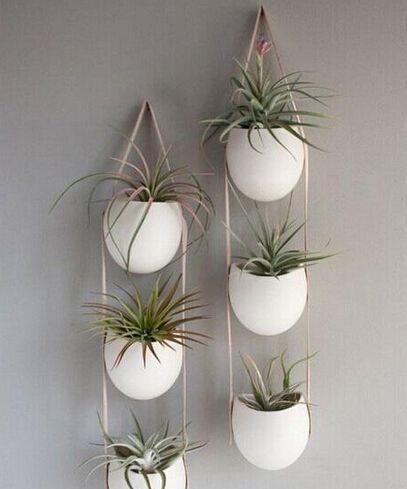 空中|房子小,咋养花?那就造一个空中花园