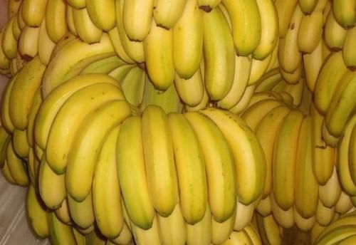 肠道的“润滑剂”,早晚吃一点,排宿便清肠道,体重“嗖嗖”降!