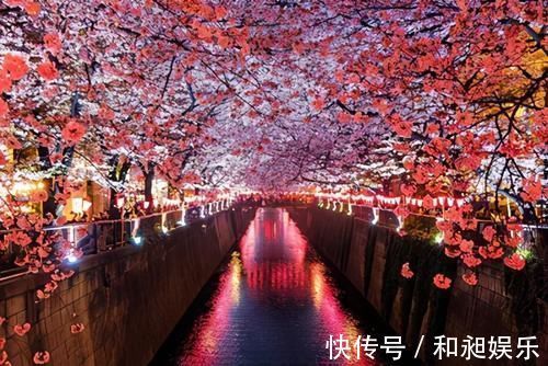 笋香!“梨花院落溶溶月,柳絮池塘淡淡风”:18句对偶诗词,美到哭!