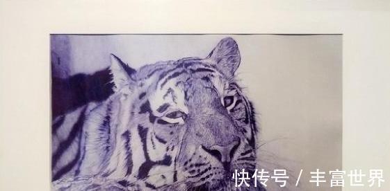 冷军$18岁男孩用圆珠笔画画走红网络,被央美拒绝,网友喊话冷军收徒弟