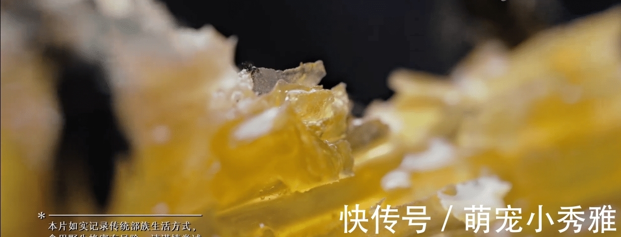 离开《舌尖上的中国》,陈晓卿做了一档更馋人的节目