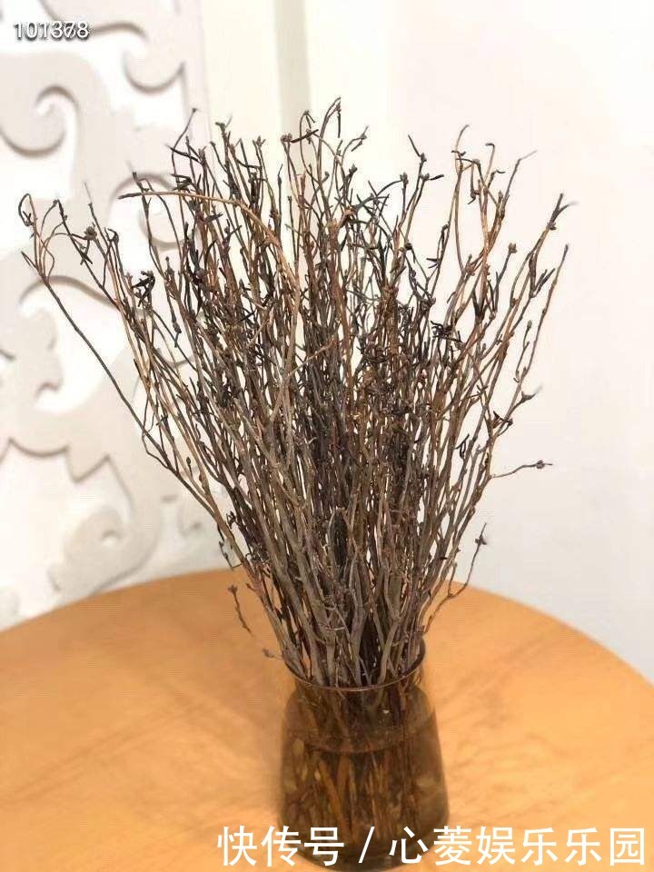 干枝杜鹃|干枝杜鹃不能买,罪恶产业链,没有买卖就没有盗采