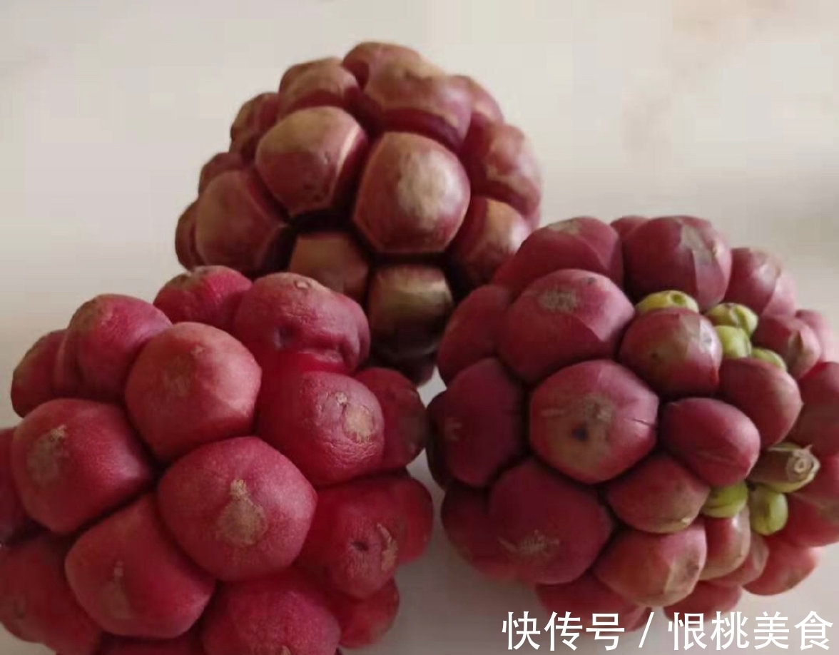 布福娜|海贼王里面恶魔果实,现实中真的存在? 超市就买得到128元一个