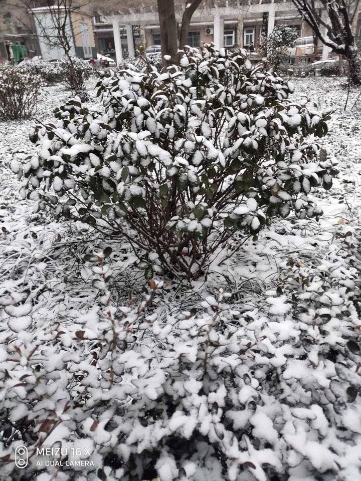 杨克汶|雪｜济南冬天的第二场雪