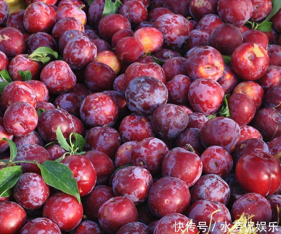 美白|三伏天要来了,常吃3种水果,延缓衰老,美白肌肤,女性要多吃