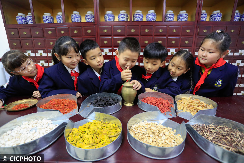 中医|体验中医文化 迎接“世界传统医药日”