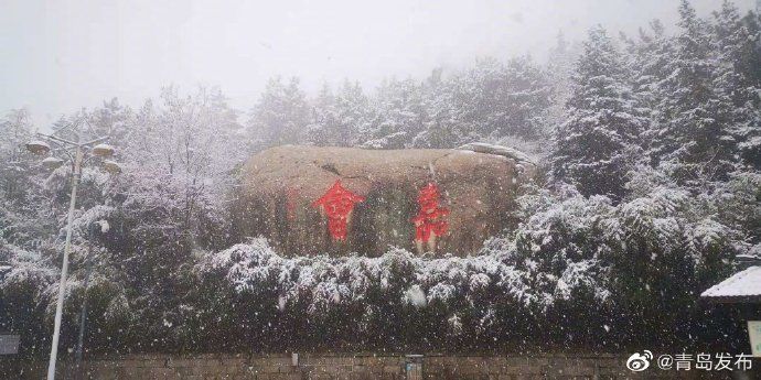 崂山|青岛·风情 崂山迎来12月初雪！