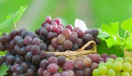 营养物质|女人若是有点钱，应多吃3种食物，抗氧化调节内分泌，延缓衰老