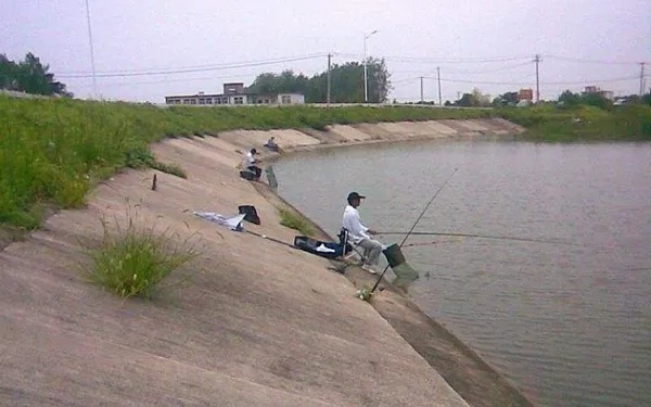 秋后降温，大鲫鱼不好钓？有这2大口诀，鱼获翻3倍！
