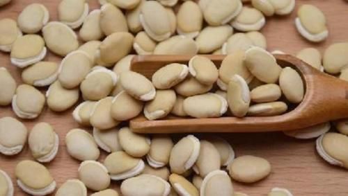 淀粉酶抑制劑|被忽視的豆中之王！營養秒殺雞蛋牛奶！癌癥、濕氣、高血糖都趕跑