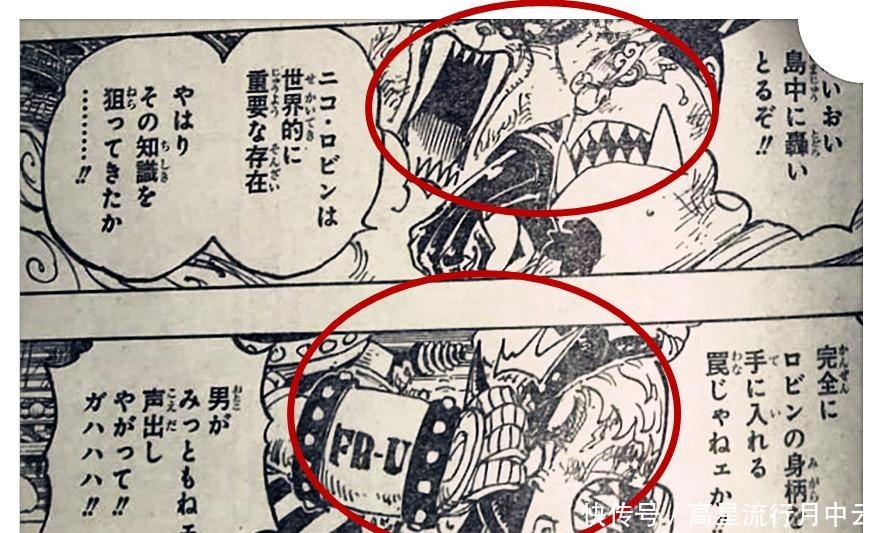 海贼王1005话,卡塔库栗上线并露脸,King火焰射击对马尔科没效果