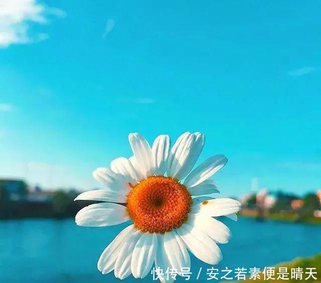 易经告诉我们人出现危险主要是这四个原因