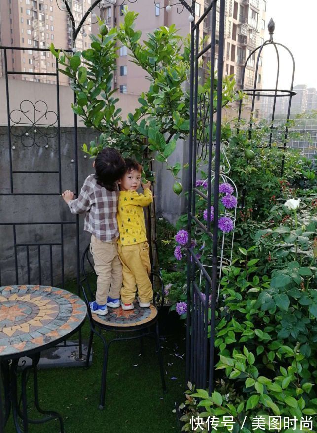 菜地|2年前买了个300㎡的露台,打造成屋顶花园,过上了田园生活