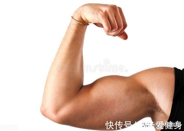 胸肌|如何增加手臂围度?高手常用的3种训练方法,帮你打造强壮麒麟臂