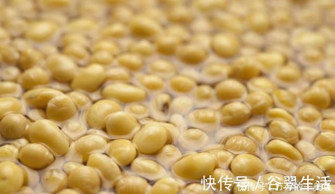 黄豆|自制一种营养液,比淘米水强10倍,每次浇花用一点,叶子油亮乌黑