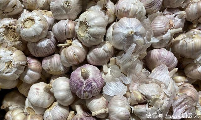 发芽|大蒜买多了容易碎三招，不枯萎，不发芽，放一年新鲜