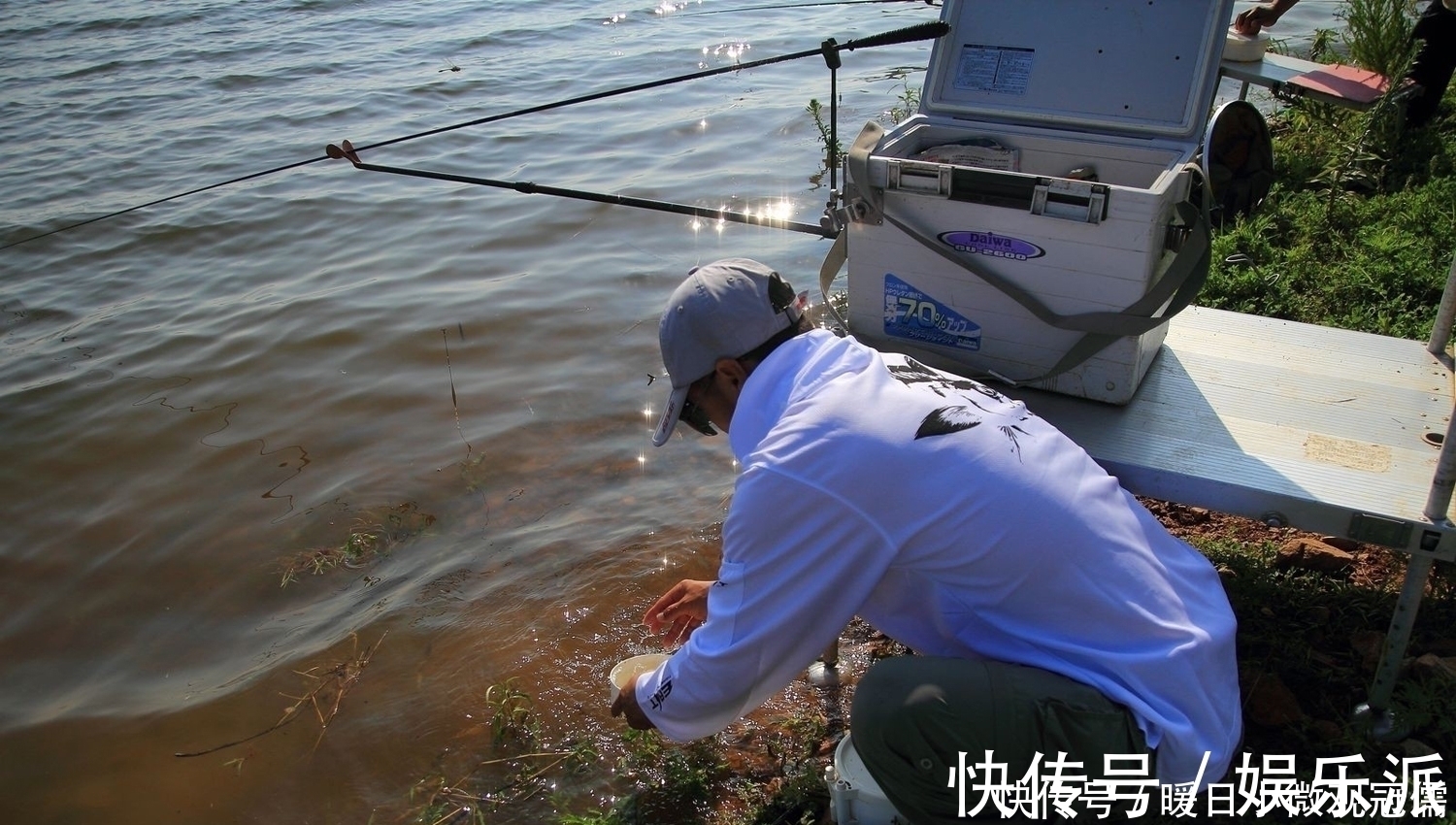 氨基酸|什么钓鱼最有效？氨基酸和维生素b钓鱼有用吗？详解钓鱼的误区