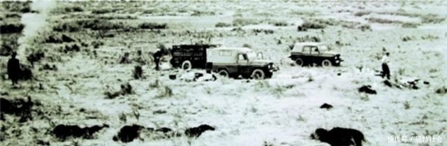 至今|彭加木失踪距今已过40年,搜寻7昼夜仍难寻,至今无下落