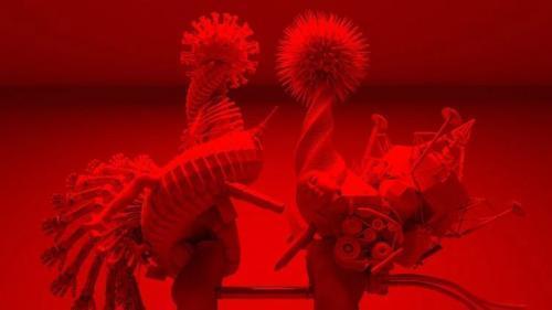 不去798 ,美图秀秀也可以让年轻人"躁"起来