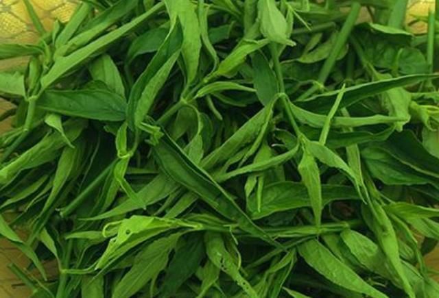 黎王|“这种草”被称为是老烟民的“救命草”,还是抗癌奇草,你认识吗