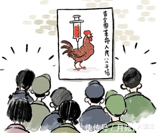古代|“打鸡血”是怎么来的60年代曾风靡一时,人们注射鸡血“养生”