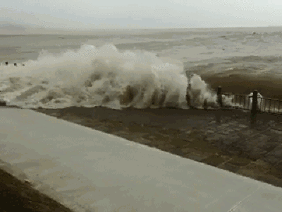 诗家|「齐鲁诗家」张栋 辛丑六月诗笺