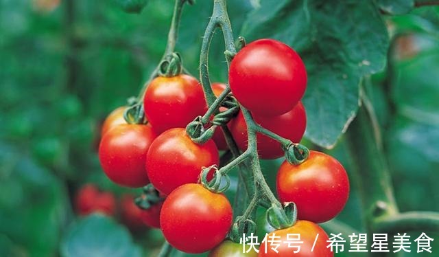 圣女果|若有一个小院，要把菜当花养，把花种成菜！