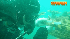 修路|鄉(xiāng)村大舞臺“當(dāng)代愚公”耗時(shí)十年修路，背后的故事竟如此感人！