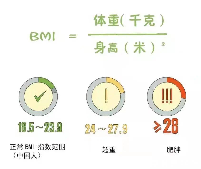 肥胖症|怎么样才能摆脱超重、肥胖的阴影,做到合理减重呢?