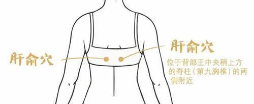  穴位|常按两个养生穴，肝气顺了、湿气除了、睡得香了每天几分钟就行