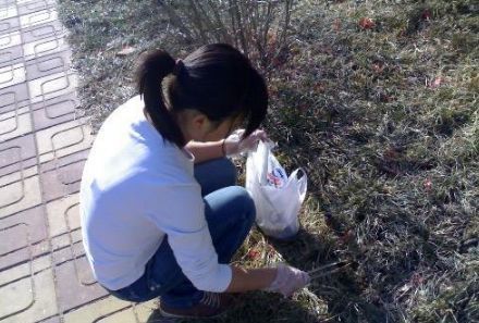 养花肥难找这玩意到处都是，捡来做肥料，花草长得枝粗花多