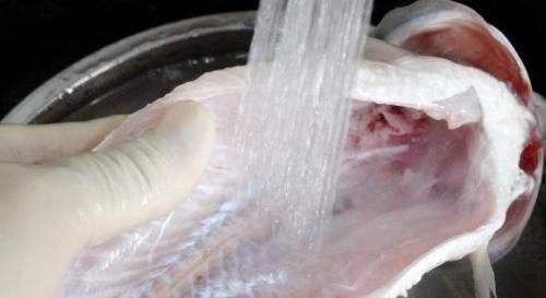 腥味|剃掉“鱼腥线”，大错特错，这4处才是腥味源头，处理好做鱼更鲜