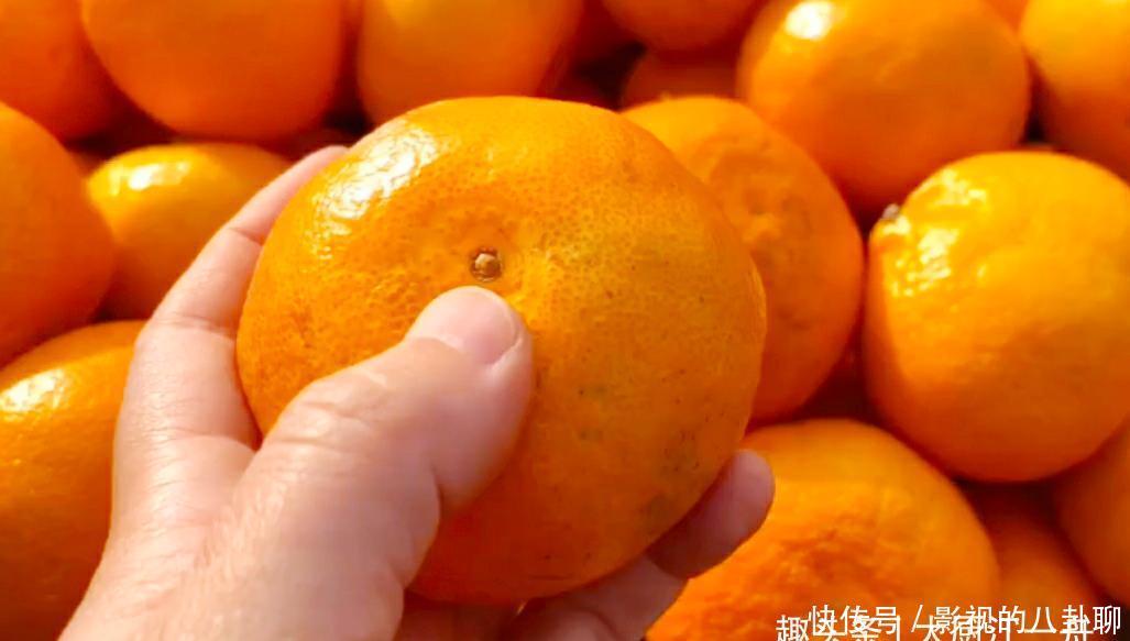 四五斤|买橘子时,一定要挑“母”的,牢记这3点,挑的橘子又甜又好吃