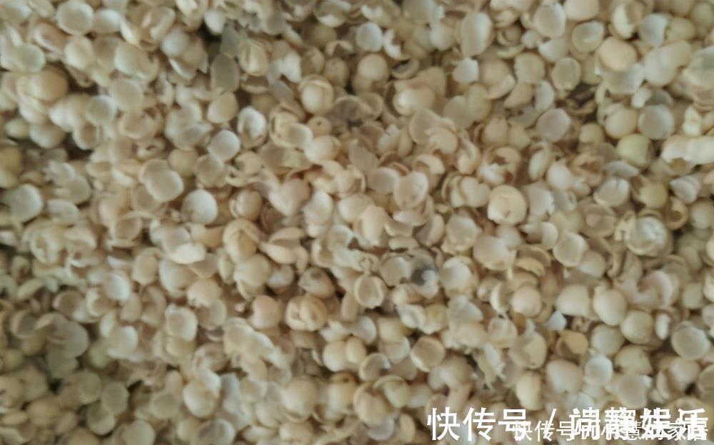 家里有这3种东西不要扔,你以为是垃圾,可它们是植物最好的肥料