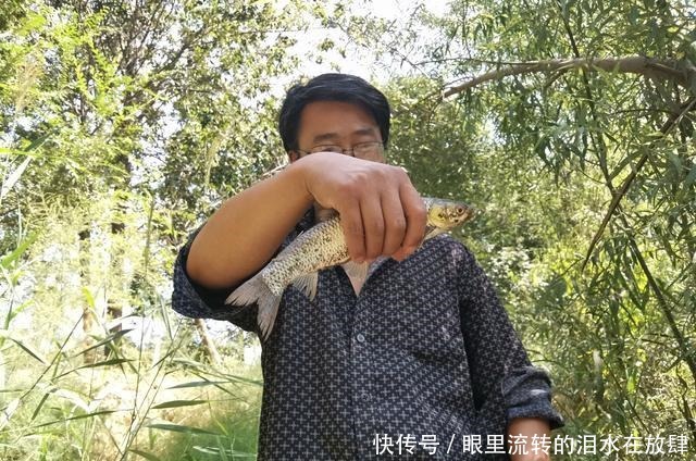  鲤鱼|钓鱼只是玩玩，错！河沟里的鲫鱼、鲤鱼也能钓干净！