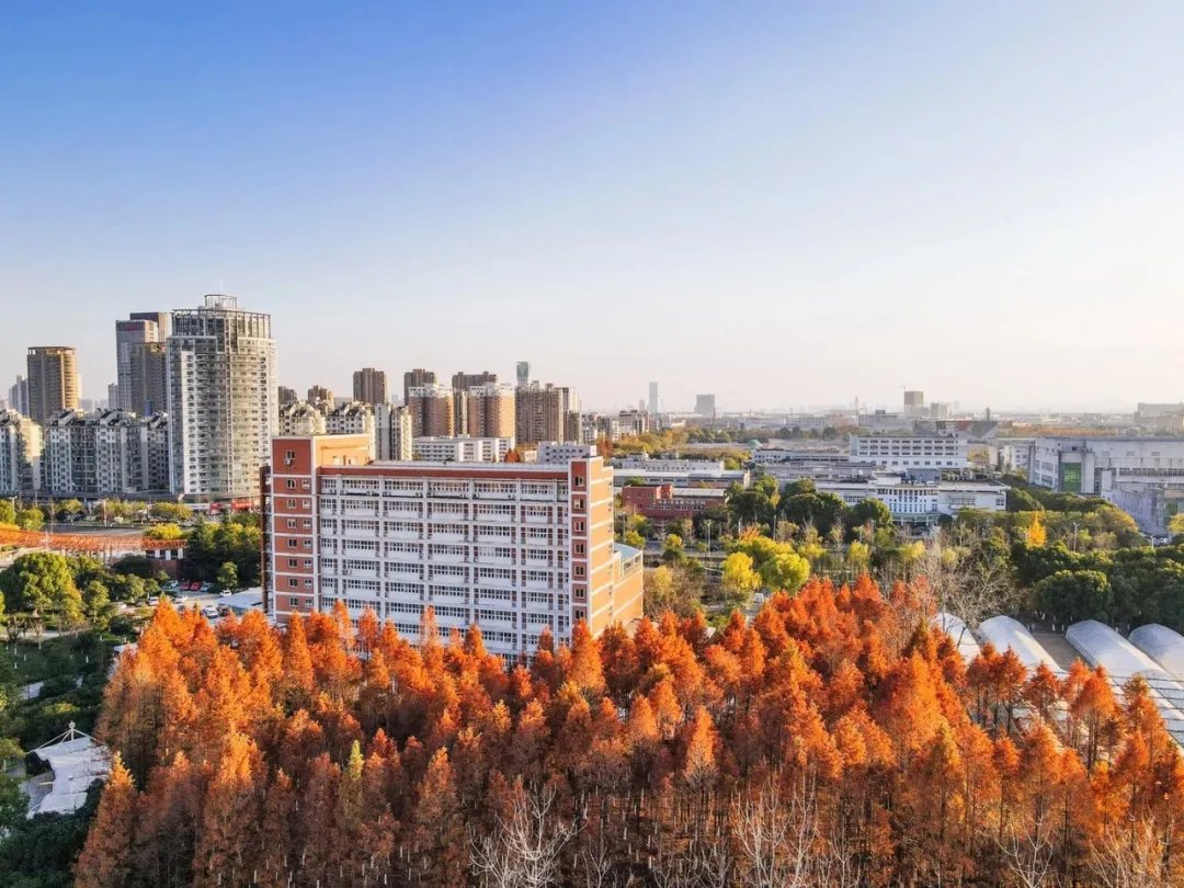 浙江水利水电学院|钱塘大学城秋景，美出圈！