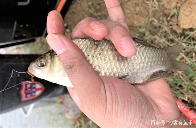 浮漂|天冷钓鱼掌握这些技巧，新手也能连竿；冬季这样用漂，上鱼率高