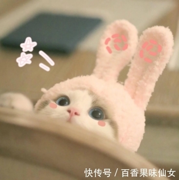 盘点|盘点5款“平价"洗面奶,颜值与实力并存,好用不贵,效果不输大牌