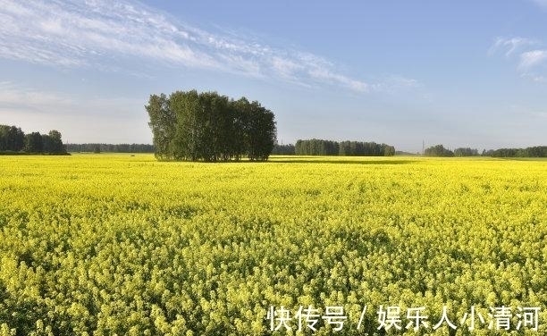 做事情|初入十月,痛苦难忍,幸福降临,再遇前任,交出真心,共度余生