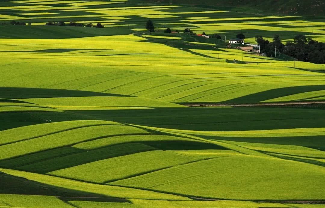 霍去病|纪录片《河西走廊》