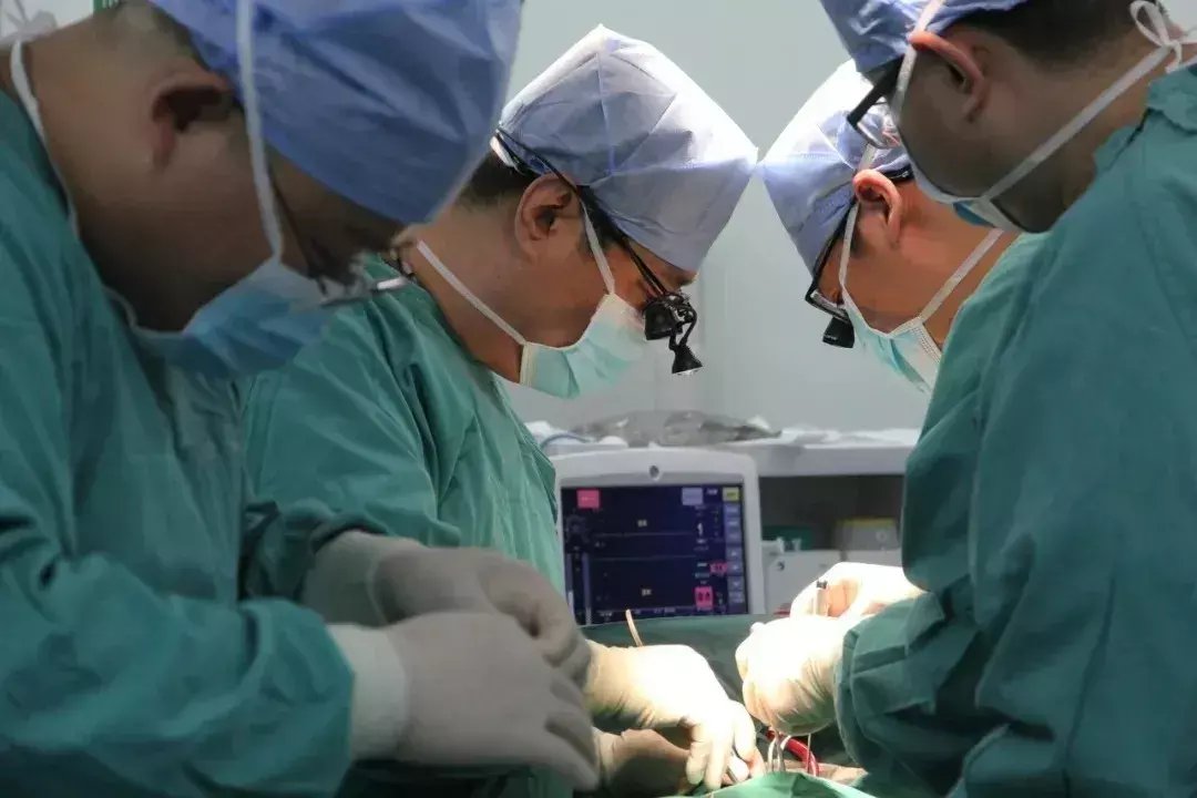 张磊磊|70岁老人反复发热竟是感染性心内膜炎，心外科实施二尖瓣生物瓣膜置换解难题