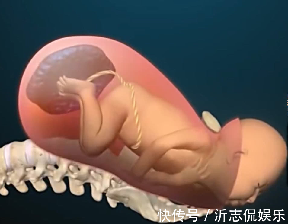 产妇|顺产到底有多“疼”看到第3张图,也许你会明白