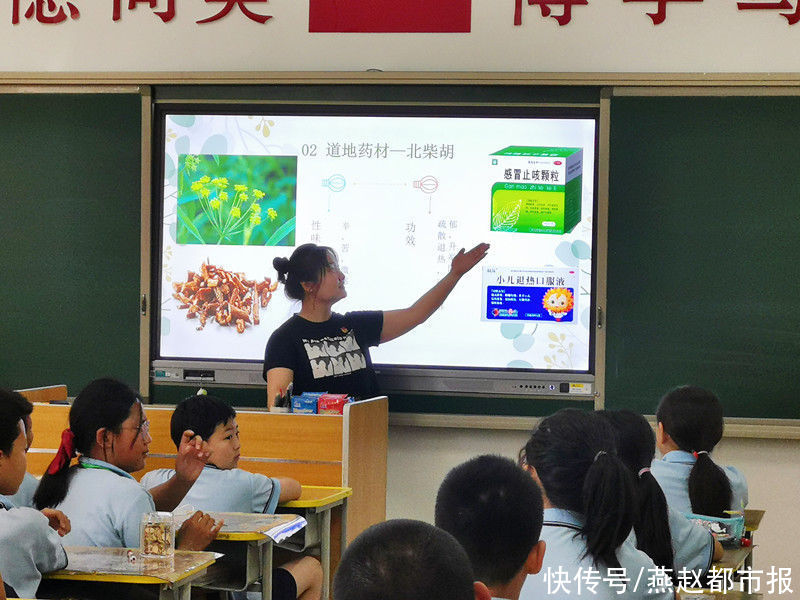 大学生们|承德医学院中药学系学生党支部开展中医药文化进校园活动