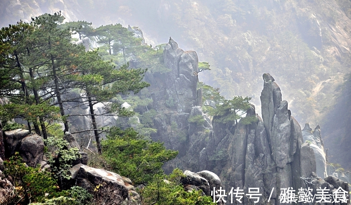 诗作|十首隐士古诗词:香风不动松花老,白云遍地无人扫