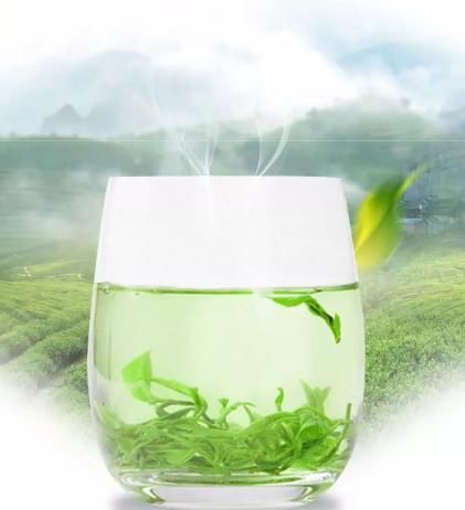 喜欢|寻味诀第十八集之黄山毛峰