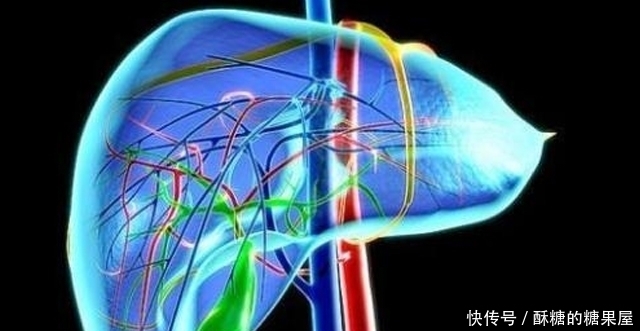 失调|内分泌失调根本原因,身上这个器官在捣乱,养肝就是养命