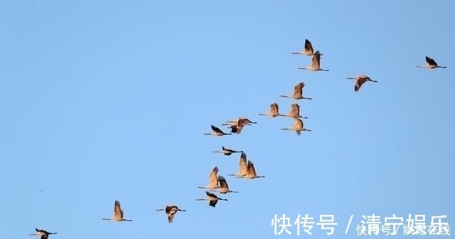 胜春朝!人生不称意时,不妨读读刘禹锡这首千古名作,读完顿觉神清气爽