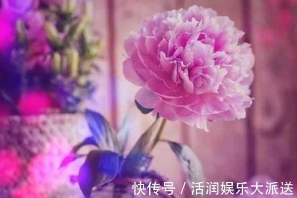 福气|无论有钱还是没钱,这三种人命最好,越老越有福气!