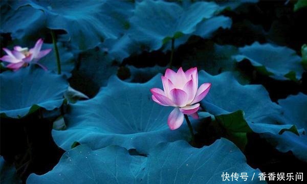 朱自清真是新文学的散文大师吗?余光中:浅白、累赘,够不上大师